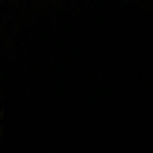 Meet your Posher, Dora